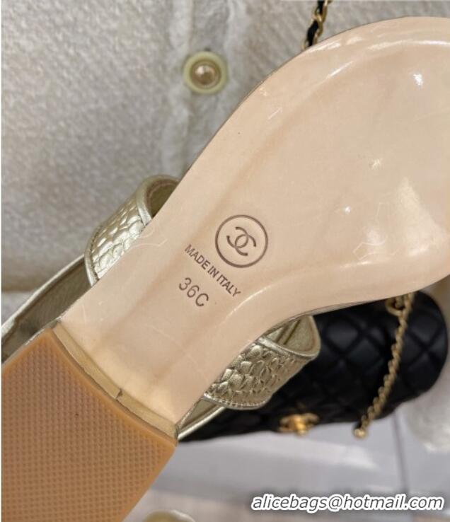 Duplicate Chanel Stone Embossed Leather Flat Thong Sandals with Pearl CC Gold 072213