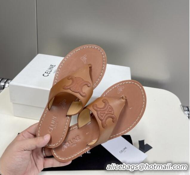 Good Quality Celine Triomphe Calfskin Flat Thong Slide Sandals Brown 062125