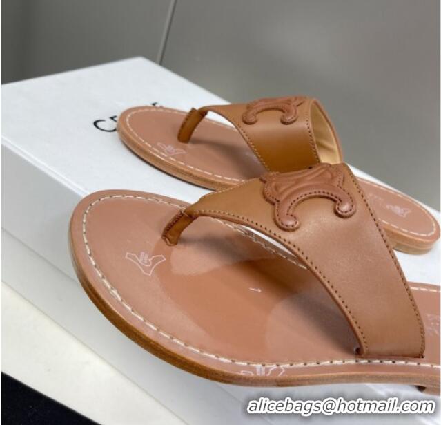 Good Quality Celine Triomphe Calfskin Flat Thong Slide Sandals Brown 062125