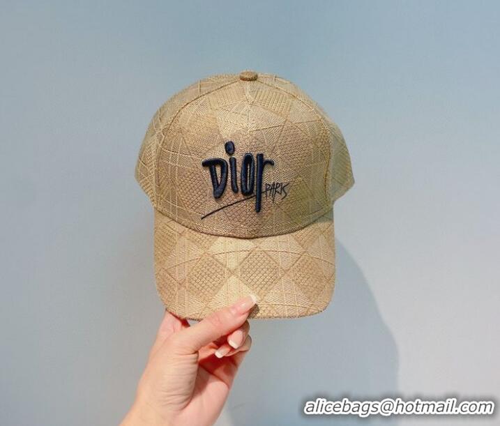 Unique Style Dior Hats CDH00023