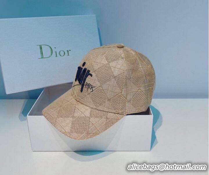 Unique Style Dior Hats CDH00023