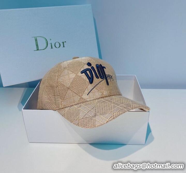 Unique Style Dior Hats CDH00023