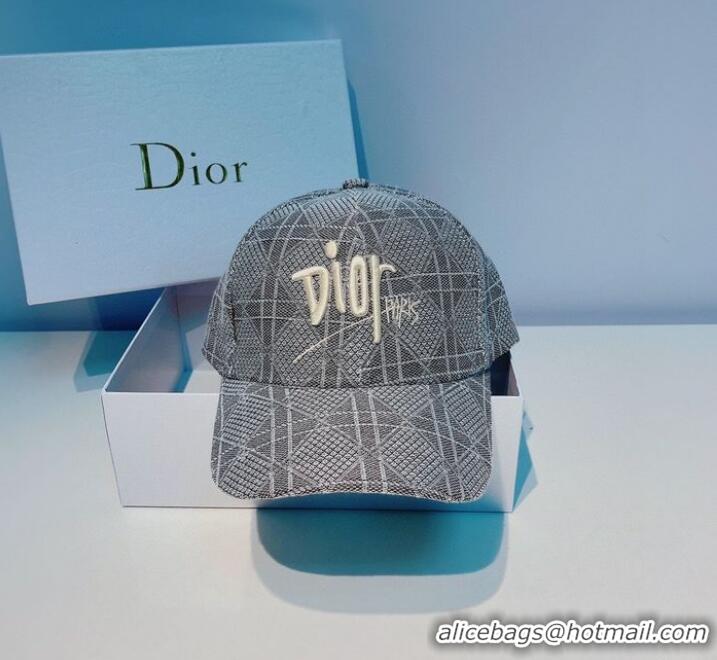 Unique Grade Dior Hats CDH00025