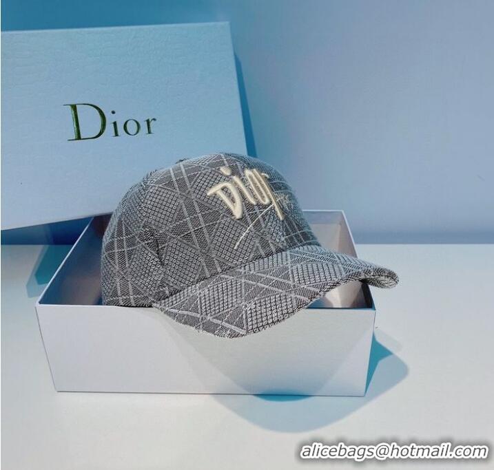 Unique Grade Dior Hats CDH00025