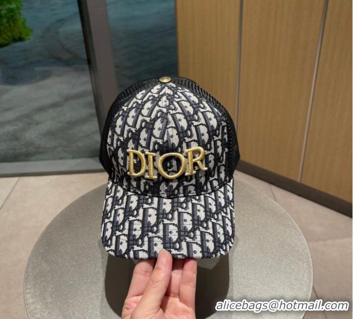 Reasonable Price Dior Hats CDH00039