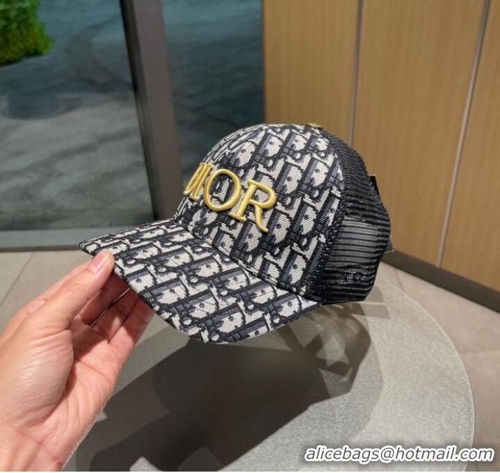 Reasonable Price Dior Hats CDH00039