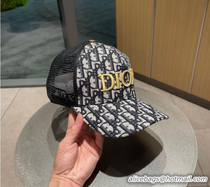 Reasonable Price Dior Hats CDH00039