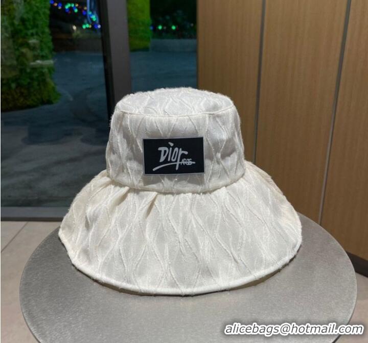 Pretty Style Dior Hats CDH00043