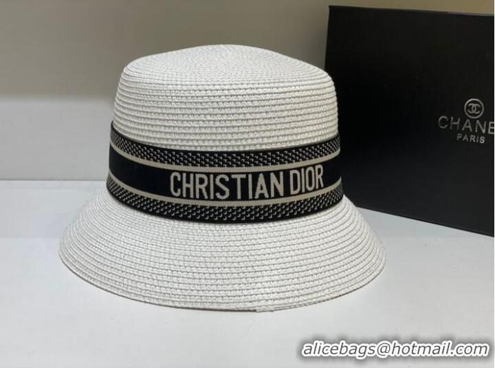 Well Crafted Dior Hats CDH00057-4