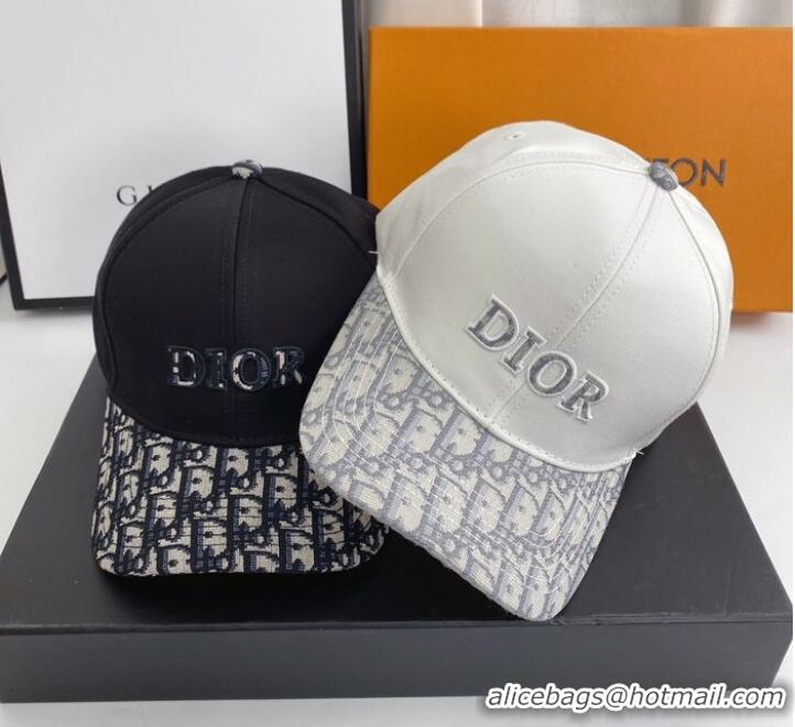 Fashion Show Collection Dior Hats CDH00082-1