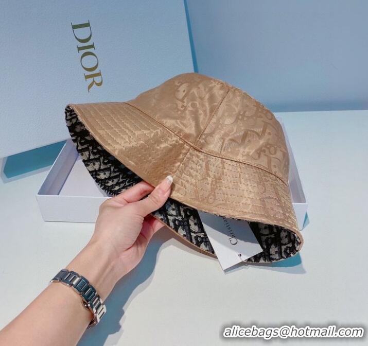 Well Crafted Dior Hats CDH00089