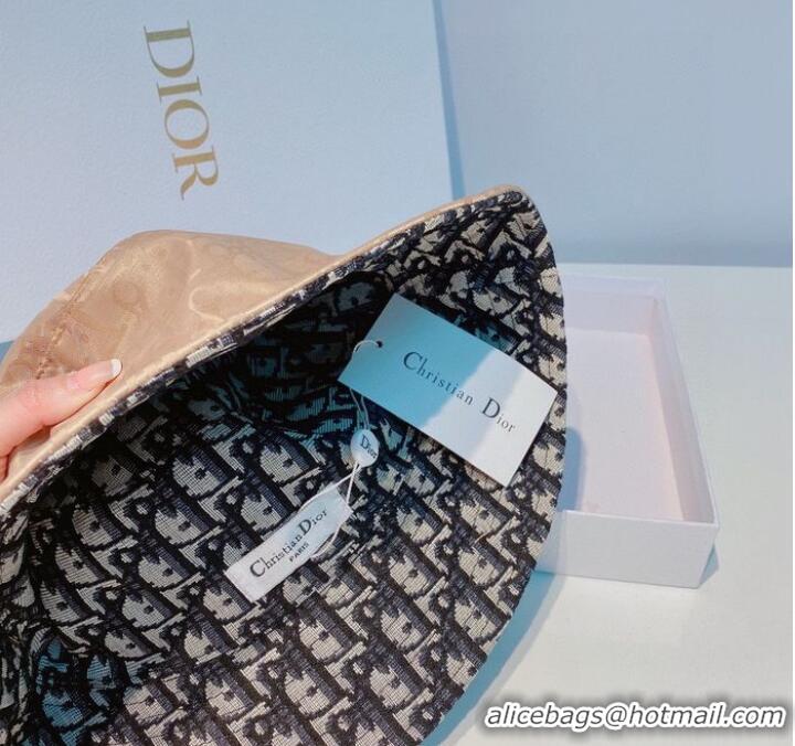 Well Crafted Dior Hats CDH00089