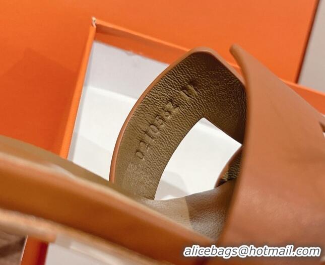 Popular Style Hermes Santorini Swift Calfskin Sandal 5cm Brown 052334