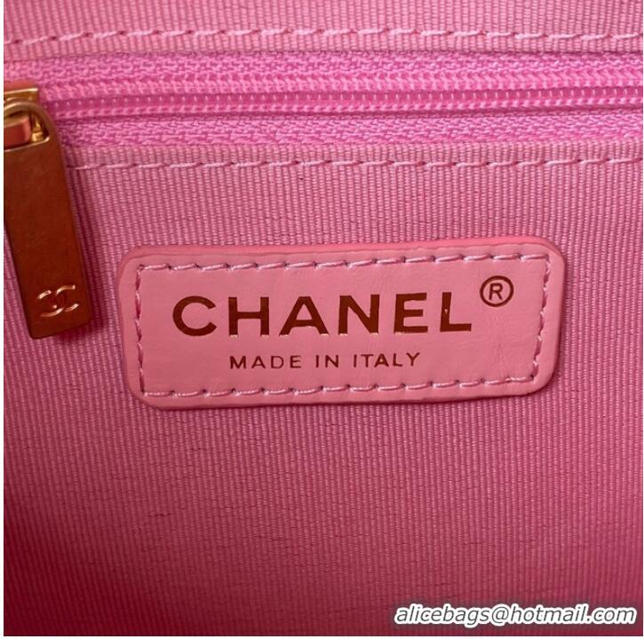 Classic Specials Chanel MINI CAMERA CASE AS3383 pink