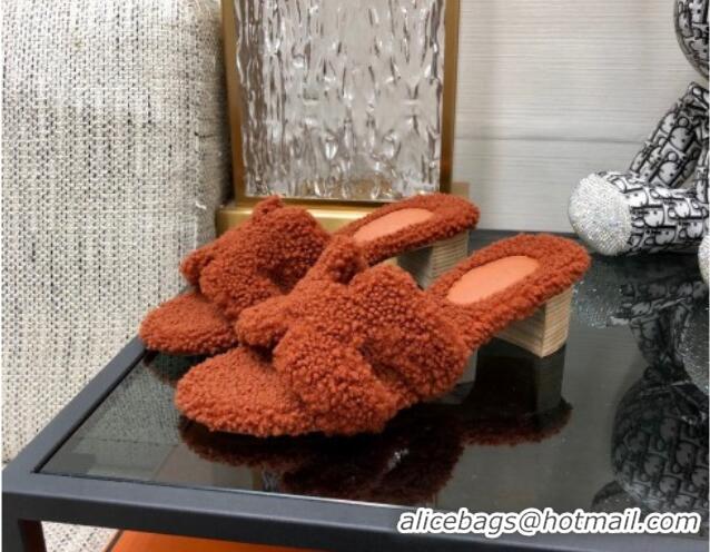 Unique Style Hermes Teddy Fur Medium Heel Slide Sandals 5cm Brown 071903