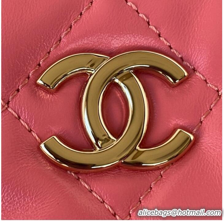 Affordable Price Chanel Lambskin & Gold-Tone Metal Backpack AS3332 pink