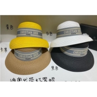 Buy Fashionable Dior Straw Wide Brim Hat 040163 2022