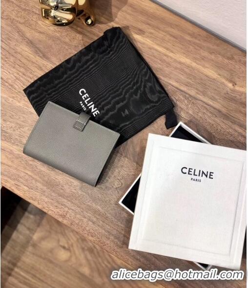 Pretty Style Celine Grained Calfskin Medium Strap Multifunction Wallet CE0201 Grey