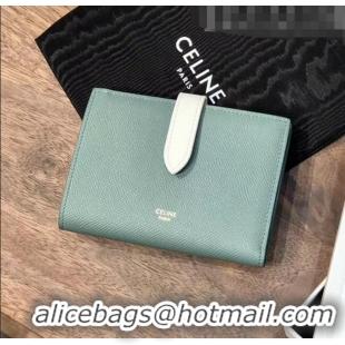 Top Quality Celine Grained Calfskin Medium Strap Multifunction Wallet CE0201 Light Green/White