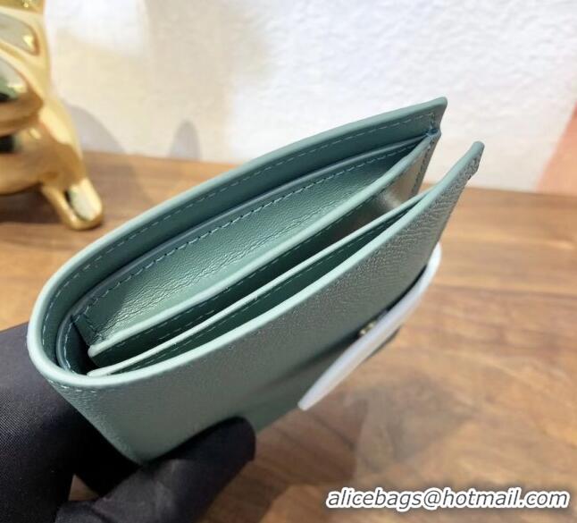 Top Quality Celine Grained Calfskin Medium Strap Multifunction Wallet CE0201 Light Green/White