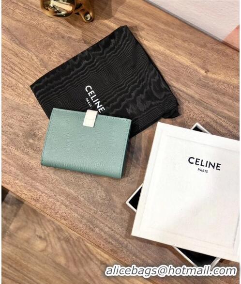 Top Quality Celine Grained Calfskin Medium Strap Multifunction Wallet CE0201 Light Green/White