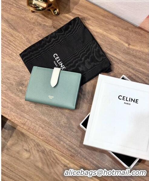 Top Quality Celine Grained Calfskin Medium Strap Multifunction Wallet CE0201 Light Green/White