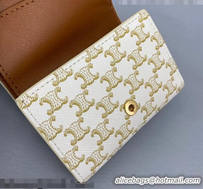 Top Design Celine Triomphe Small Wallet 60028 White 2021