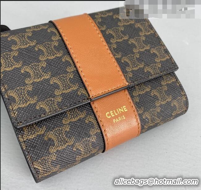 Good Product Celine Triomphe Small Wallet 60031 Brown 2021