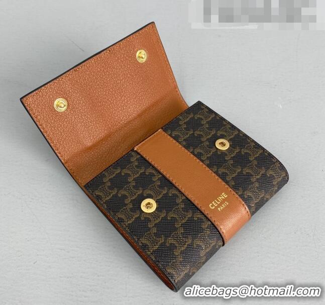 Good Product Celine Triomphe Small Wallet 60031 Brown 2021