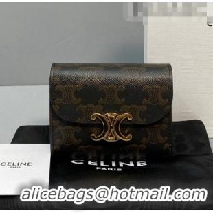 Good Quality Celine Triomphe Small Wallet 60030 Brown 2021