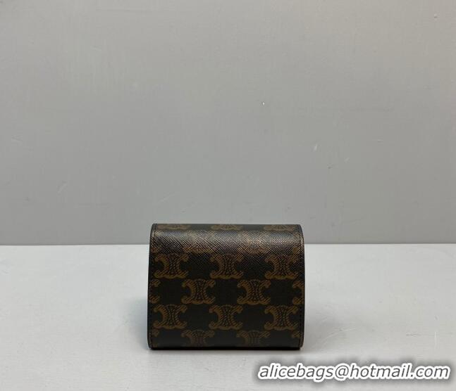 Good Quality Celine Triomphe Small Wallet 60030 Brown 2021