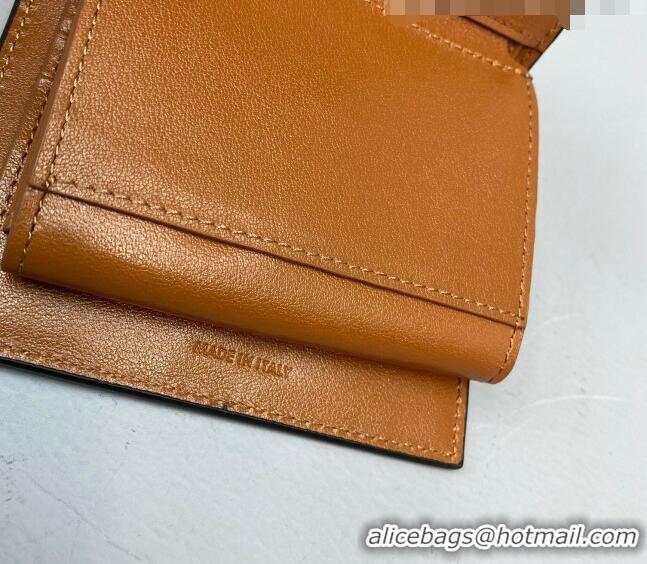 Good Quality Celine Triomphe Small Wallet 60030 Brown 2021