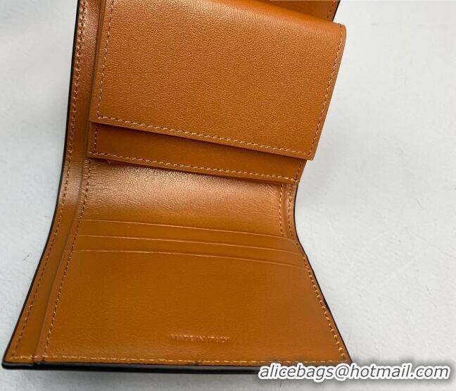 Good Quality Celine Triomphe Small Wallet 60030 Brown 2021