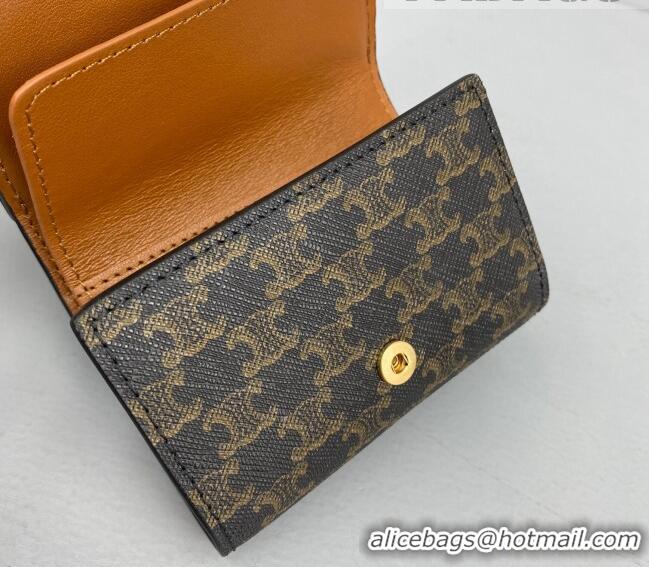 Most Popular Celine Triomphe Small Wallet 60028 Brown 2021