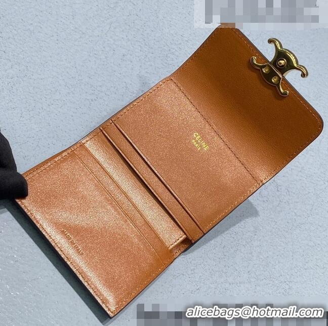 Reasonable Price Celine Compact Wallet in Triomphe Canvas 10I653 Brown 2021