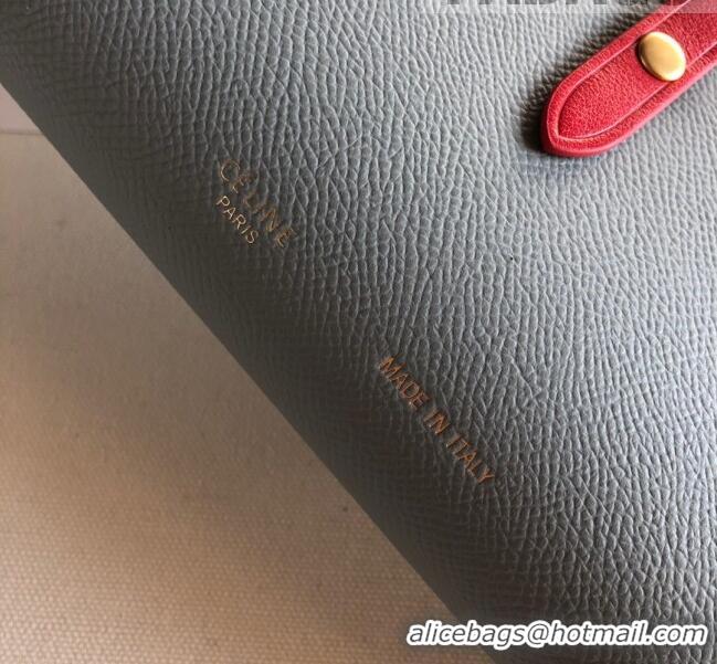 Top Quality Celine Palm-Grained Leather Passport Wallet CE1825 Grey/Red 2022