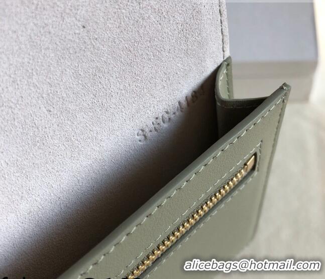 Promotional Celine Palm-Grained Leather Passport Wallet CE1825 Beige/Green 2022