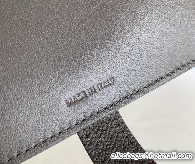 Shop Best Celine Palm-Grained Leather Medium Strap Wallet CE1826 Grey 2022