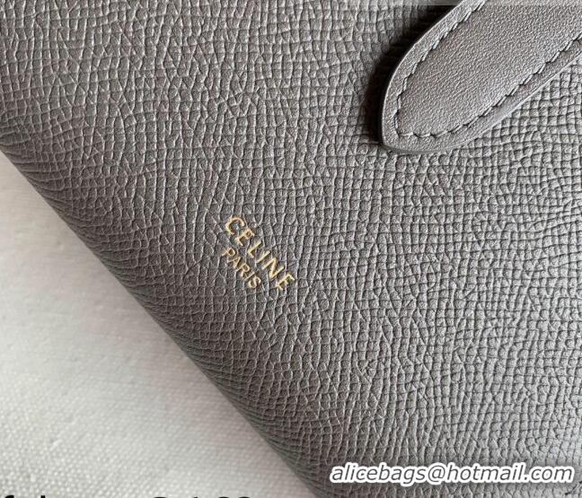 Shop Best Celine Palm-Grained Leather Medium Strap Wallet CE1826 Grey 2022