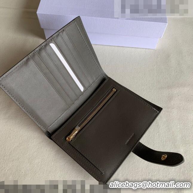 Shop Best Celine Palm-Grained Leather Medium Strap Wallet CE1826 Grey 2022