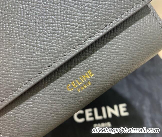 Top Design Celine Small Trifold Wallet in Palm-Grained Calfskin 0146 Grey 2022