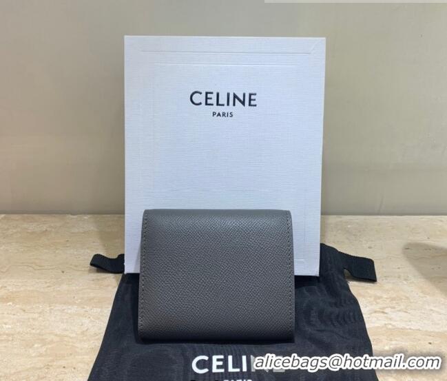 Top Design Celine Small Trifold Wallet in Palm-Grained Calfskin 0146 Grey 2022