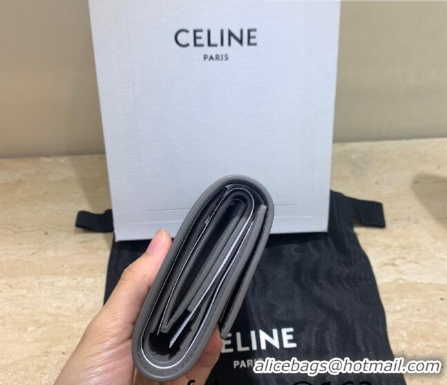 Top Design Celine Small Trifold Wallet in Palm-Grained Calfskin 0146 Grey 2022