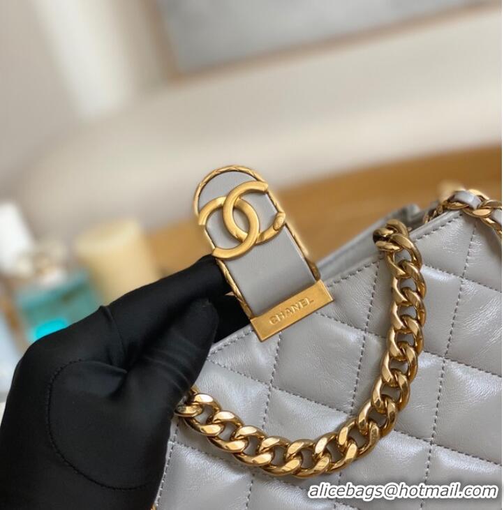 Famous Brand Chanel SMALL HOBO BAG AS3475 gray