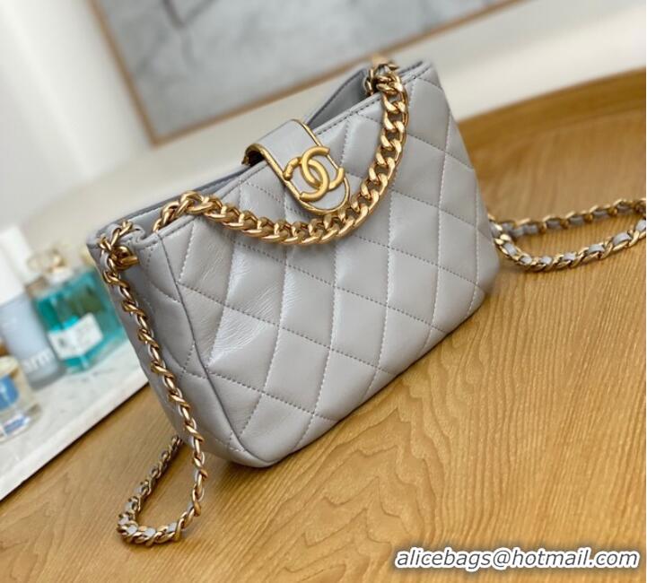 Pretty Style Chanel SMALL HOBO BAG AS3476 gray