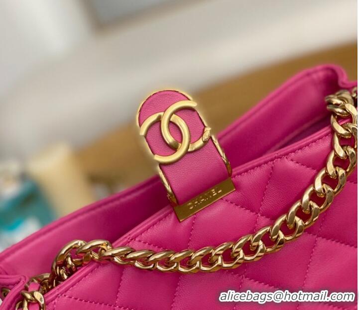 Traditional Specials Chanel SMALL HOBO BAG AS3476 Fuchsia