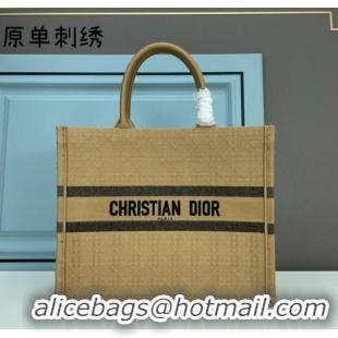 Promotional LARGE DIOR BOOK TOTE Embroidery M1286ZRTY-15