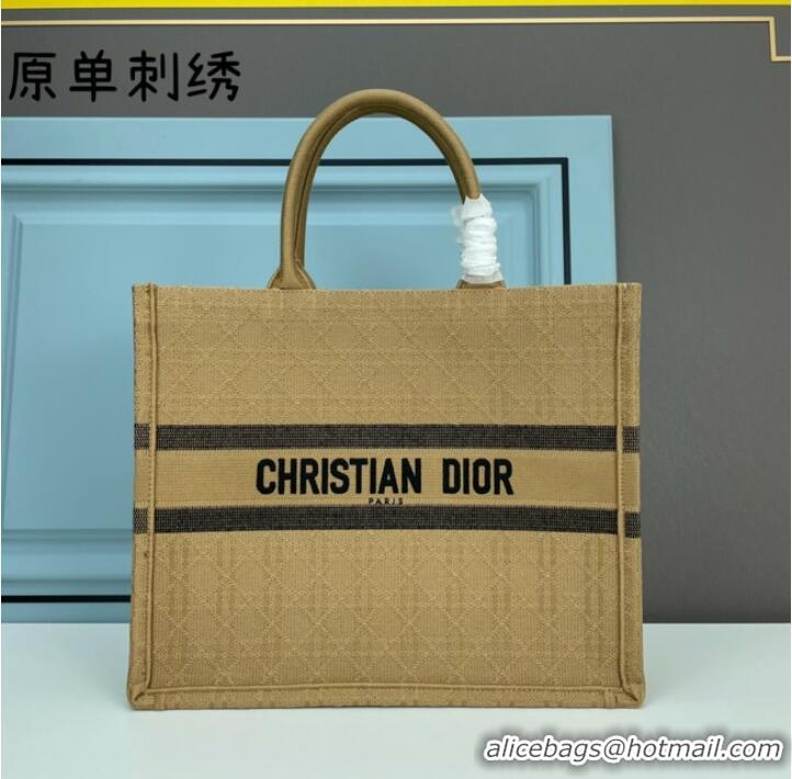 Promotional LARGE DIOR BOOK TOTE Embroidery M1286ZRTY-15