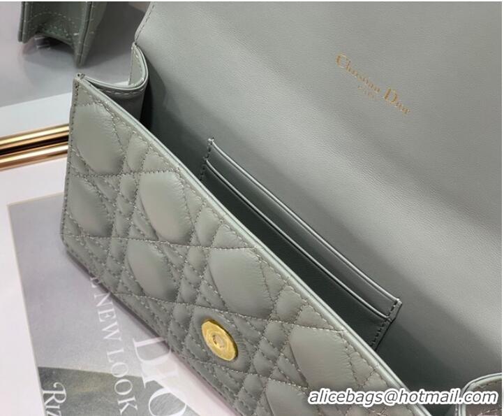 Famous Brand Dior BELT POUCH 2273 gray