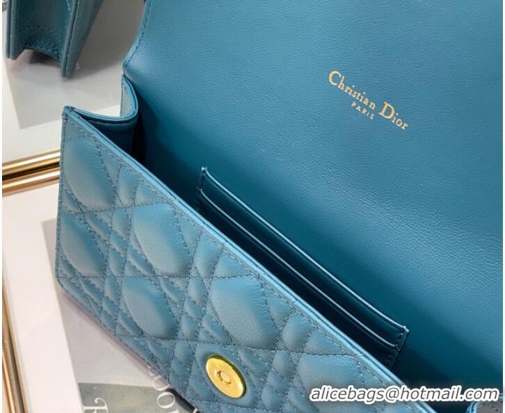 Most Popular Dior BELT POUCH 2273 blue